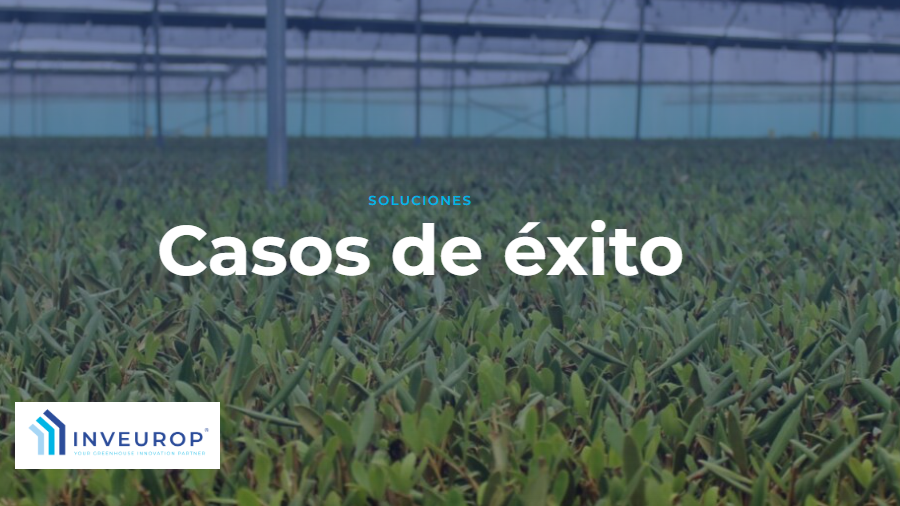Sostenibilidad y eficiencia. Inveurop y sus aliados impulsan el desarrollo agrícola en Uruguay y la autosuficiencia Saudí.png